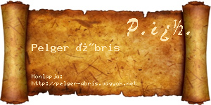 Pelger Ábris névjegykártya